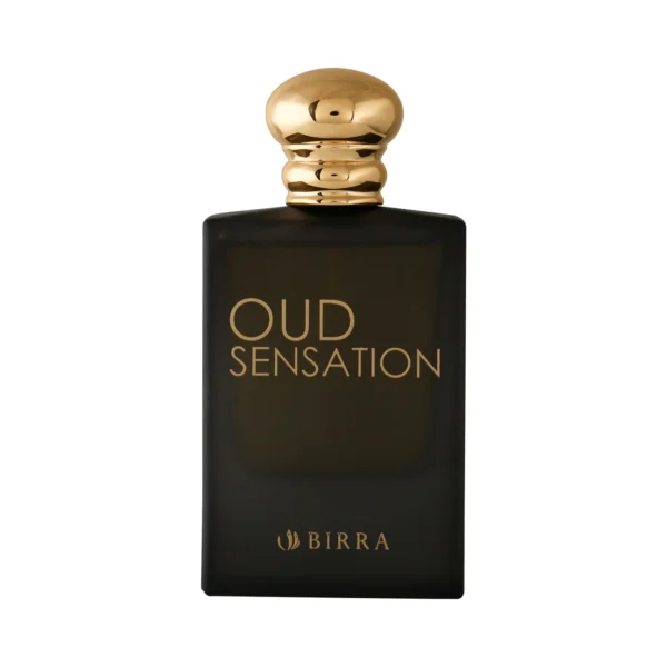 Oud Sensation EDP 50ml- Premium Perfume - Image 2